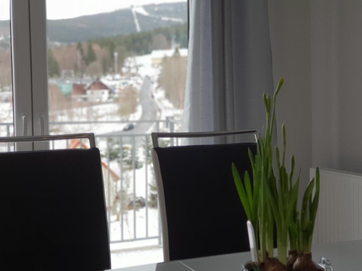 Vera Apartment Swieradow-Zdroj Zakopianska 22 C M10 Exteriér fotografie